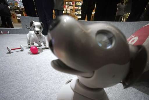 Don't want to bother with cat litter? Japan offers robots