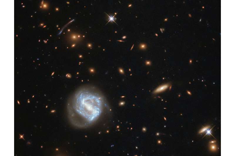 Image: Hubble’s galaxy cluster cornucopia