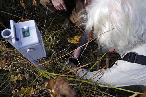 Live-streaming a marshland for fun - and science