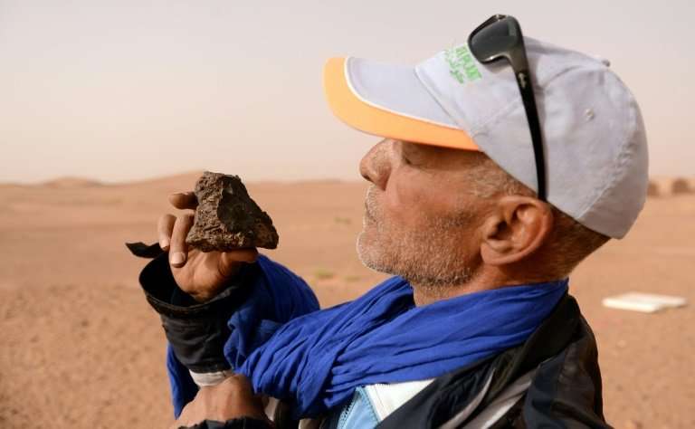 Meteorite hunter Mohamed Bouzgarine examines a rock near the town of M'hamid el-Ghizlane, in southern Morocco.