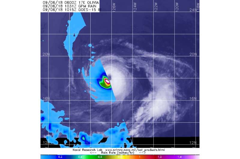 NASA's GPM finds heavy rain rings category 3 Hurricane Olivia's Eye