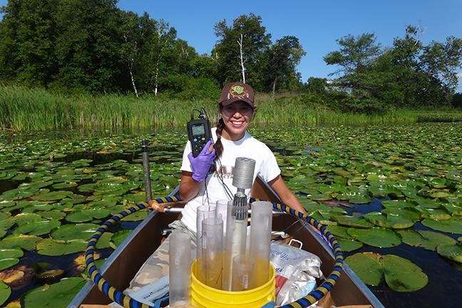 Researchers use wild rice to predict health of Minnesota lakes and streams