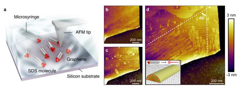 Scientists control molecular alignment on a graphene surface