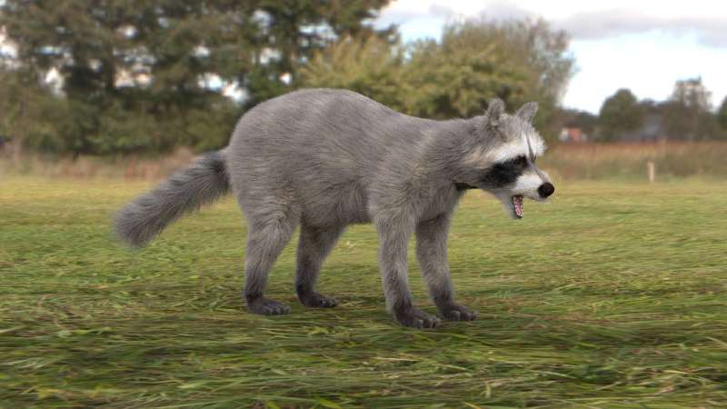 Scientists improve computer rendering of animal fur