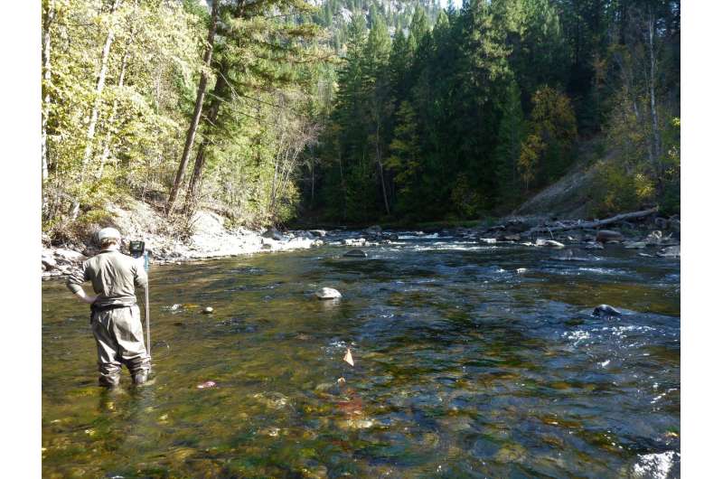 Scientists study spawning salmon through a riverbed lens