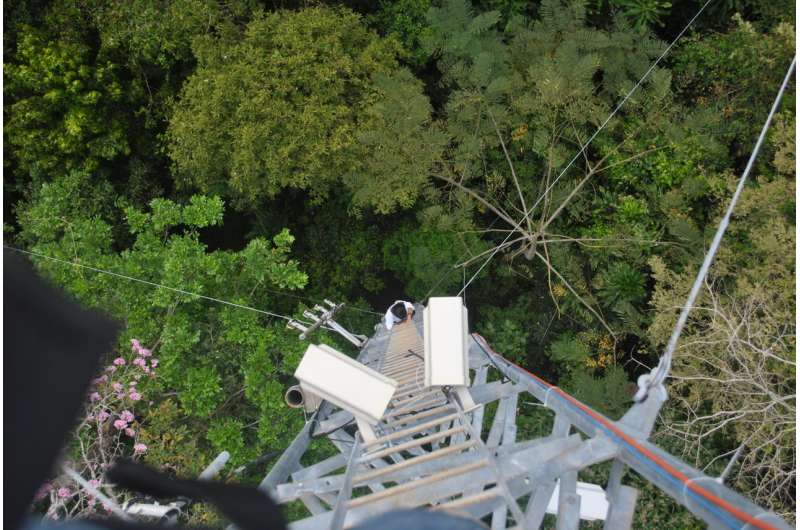 Tropical treetops are warming, putting sensitive species at risk