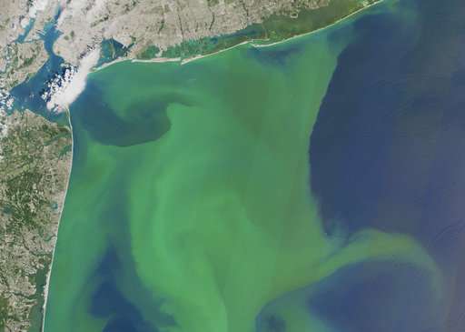Warming drives spread of toxic algae in US, researchers say