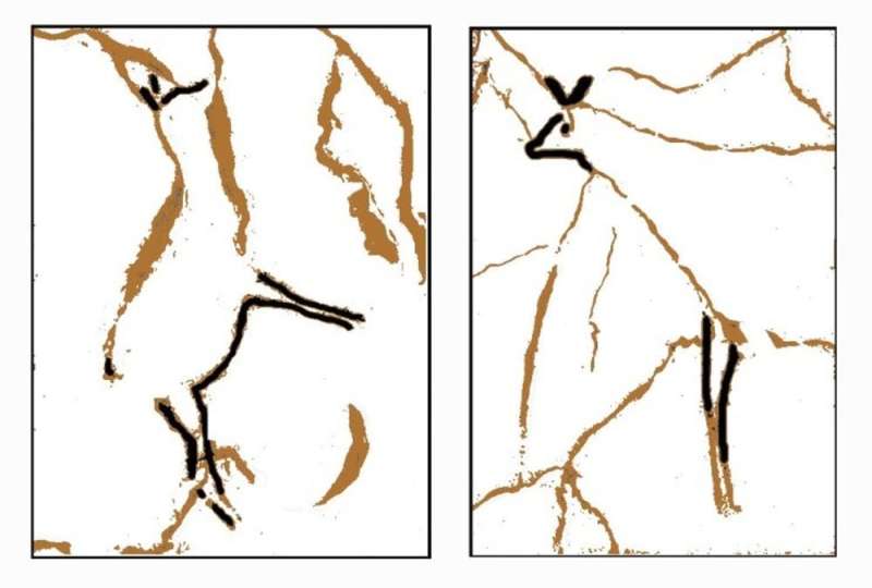 Warning signs—how early humans first began to paint animals