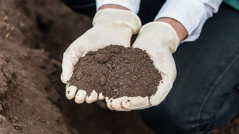 Scientists create roadmap for examining soil and using sensing technology