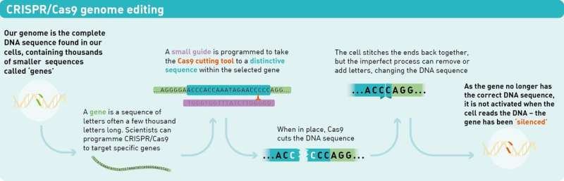 Scientists crack the CRISPR code for precise human genome editing