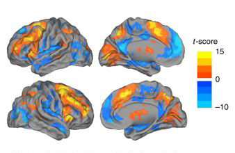 Researchers uncover hidden brain states that regulate performance and decision making
