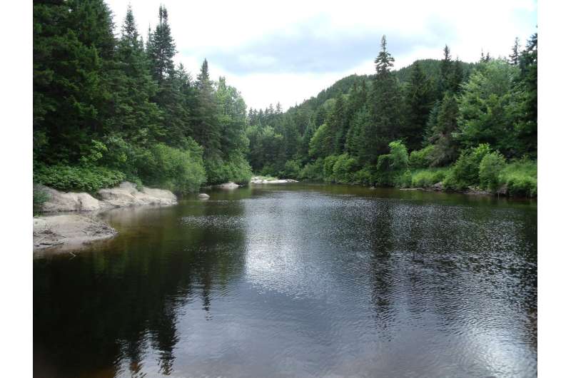 Climate change study finds New Hampshire's warmer weather will bring warmer streams