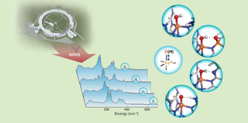 Carnegie Mellon researchers probe hydrogen bonds using new technique