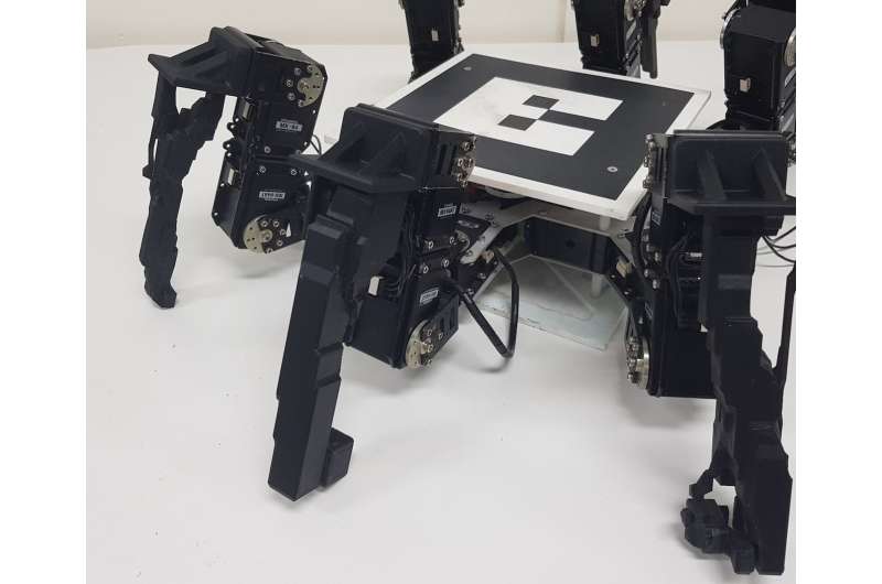 Evolving the physical structure of robots to enhance performance in different environments