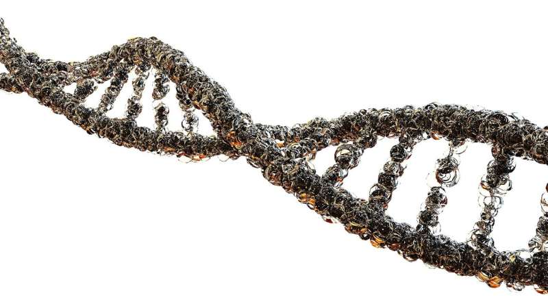 Newly discovered CRISPR mechanism may prevent dangerous errors