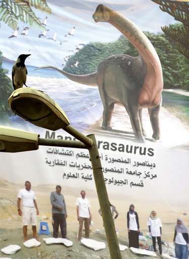 Rare dinosaur discovery in Egypt could signal more finds
