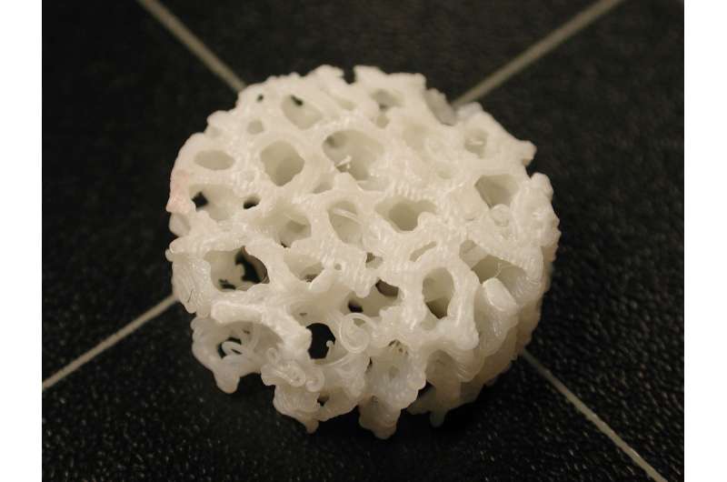 UA researchers study how to regrow long bone segments using 3D printing