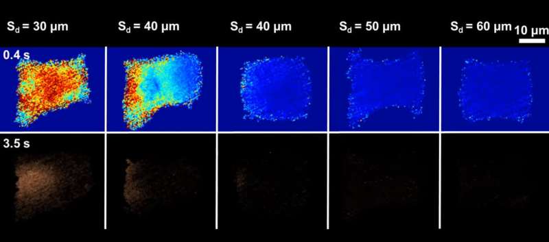 Microbeads allow ultrasonic waves to stimulate cells more safely