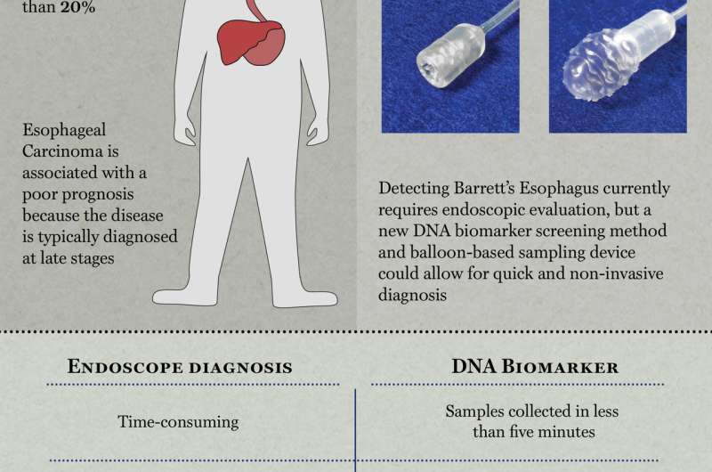 Researchers develop swallowable test to detect pre-cancerous Barrett's esophagus