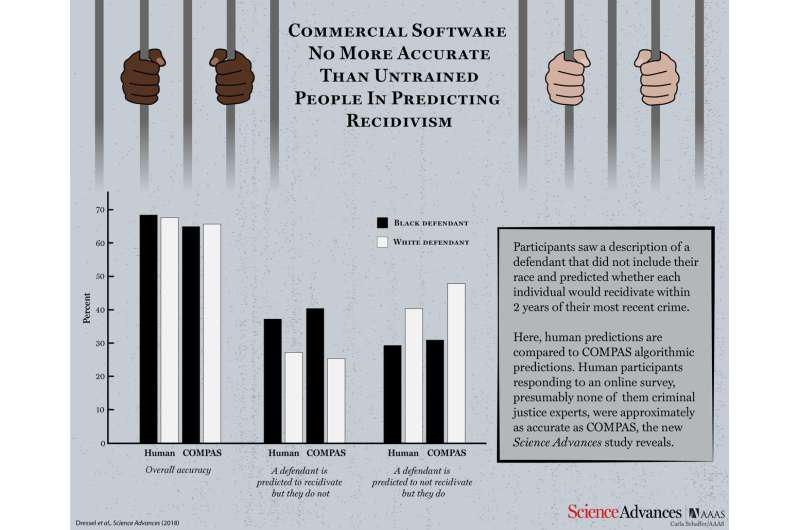 Court software may be no more accurate than web survey takers in predicting criminal risk