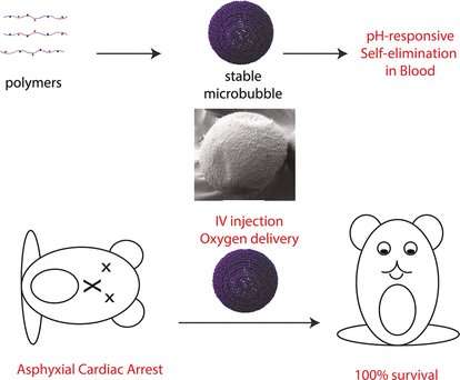 Stable, self-disrupting microbubbles as intravenous oxygen carriers
