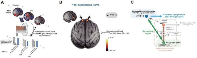 Cognitive neuroscience—the awareness of ignorance