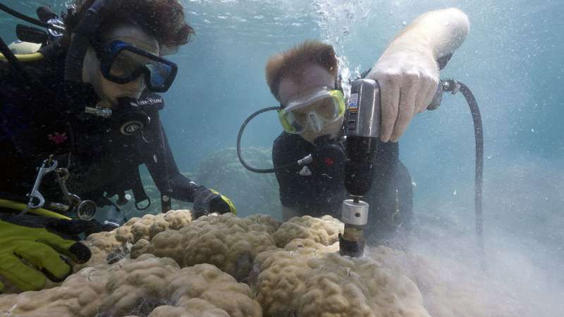 Scientists pinpoint how ocean acidification weakens coral skeletons