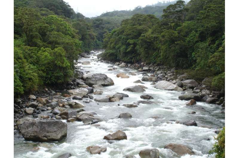 Study suggests hydroelectric dams causing greater impact on Amazon basin than thought
