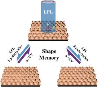 Porous polymer films with shape memory