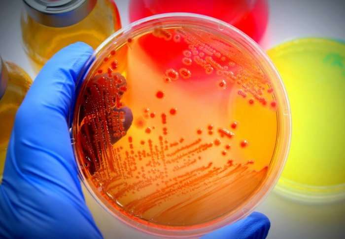Children's drug-resistant bugs could render common antibiotics ineffective