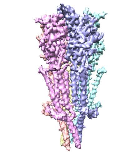 Full-length serotonin receptor structure seen for first time
