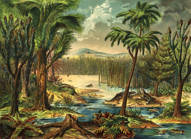 Rainforest collapse 307 million years ago impacted the evolution of early land vertebrates