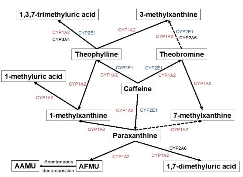 Caffeine as a biomarker for Parkinson’s disease