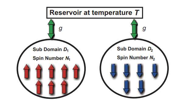 When collective spins in a double domain system relax towards a negative-temperature state