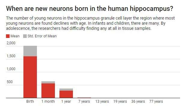 Adult human brains don't grow new neurons in hippocampus, contrary to prevailing view