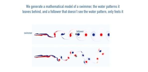 Can we imitate organisms' abilities to decode water patterns for new technologies?