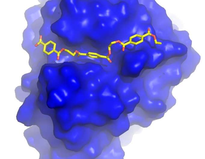 Engineering a plastic-eating enzyme