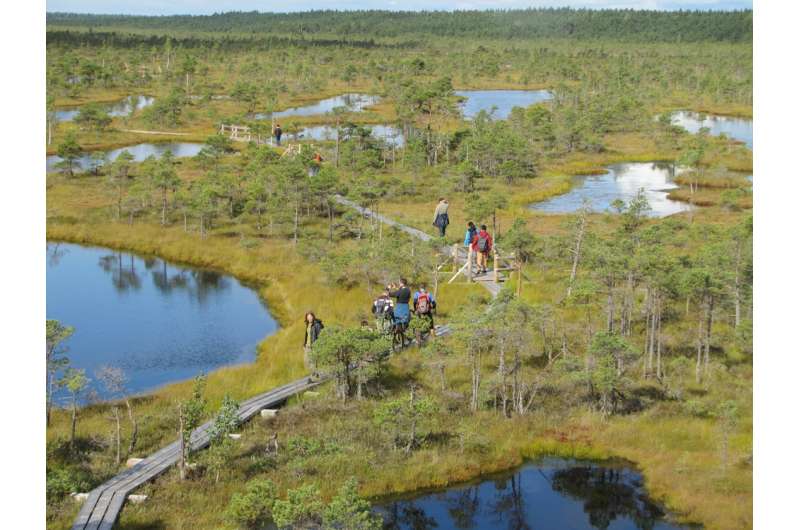 Warming planet led to peatland formation