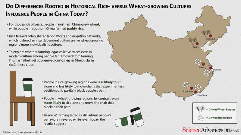 Behavioral differences between Northern v. Southern Chinese linked to wheat v. rice farming, study shows