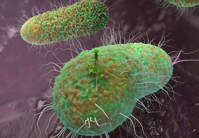 E. coli rewired to control growth as experts let them make proteins for medicine