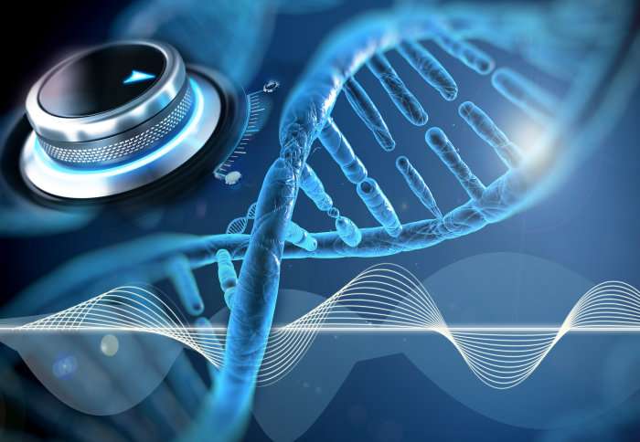 Tuneable genetic ‘clocks’ might lead to improved biotech strategies