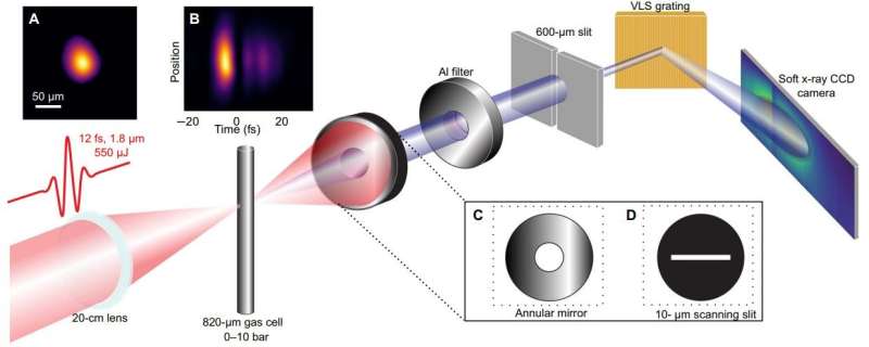 X-rays from tabletop lasers allows scientists to peer through the 'water window'