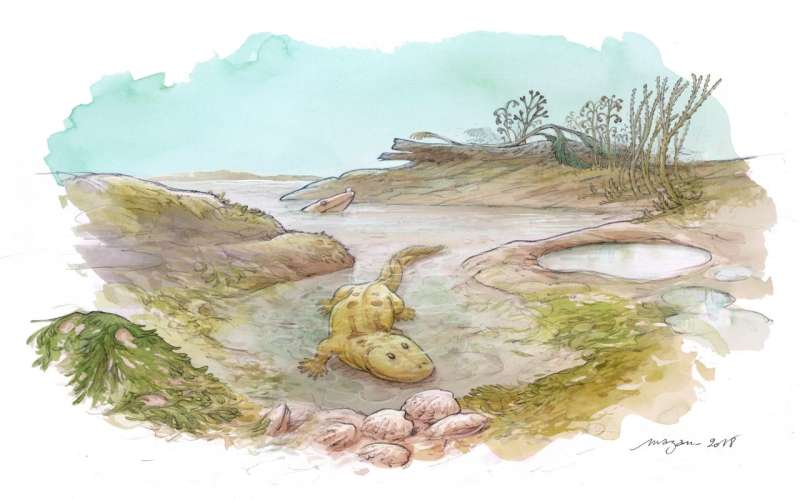 Stable isotopes suggest earliest tetrapods were euryhaline creatures