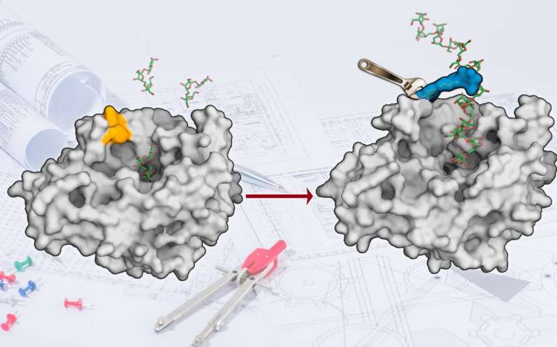 New technology for enzyme design