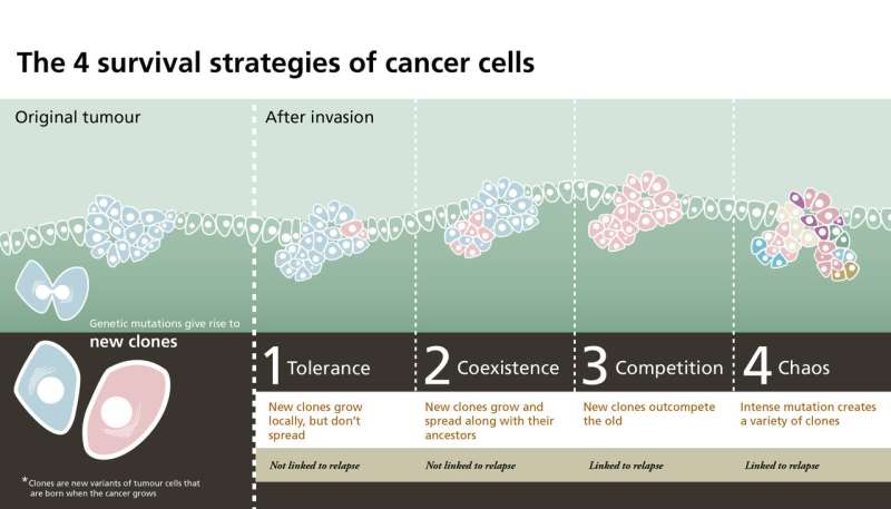 The four survival strategies of tumor cells in childhood cancer