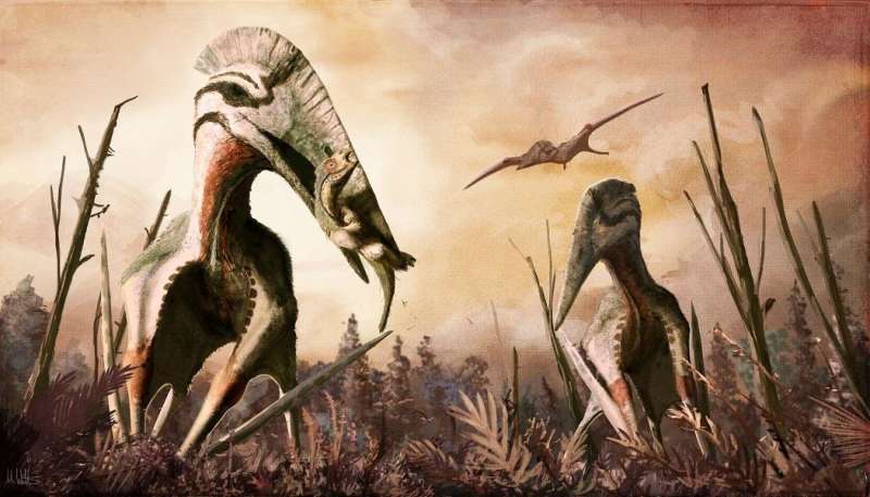 Jurassic diet: Why our knowledge of what ancient pterosaurs ate might be wrong