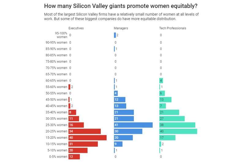Searching for diversity in Silicon Valley tech firms – and finding some