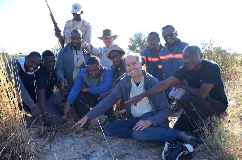Fragment of impacting asteroid recovered in Botswana