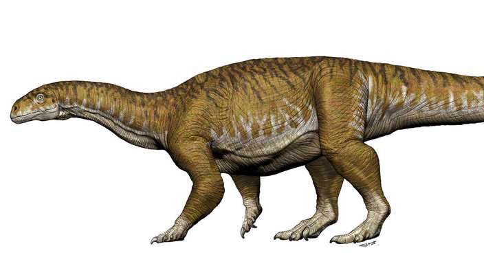 Giant dinosaur bones get archeologists rethinking Triassic period