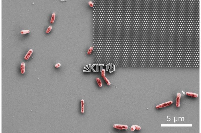 High-tech dentures—fighting bacteria with nanotechnology